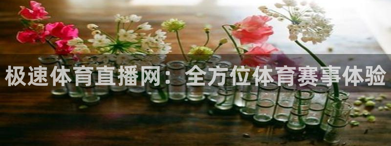 极速体育直播网：全方位体育赛事体验