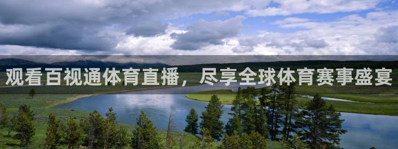 观看百视通体育直播，尽享全球体育赛事盛宴