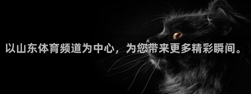 以山东体育频道为中心，为您带来更多精彩瞬间。