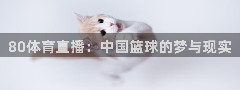 80体育直播：中国篮球的梦与现实